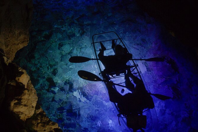 Clear Kayak Glow Night Tour - LED board visuals: fluorescent sea shadows and fish in the light