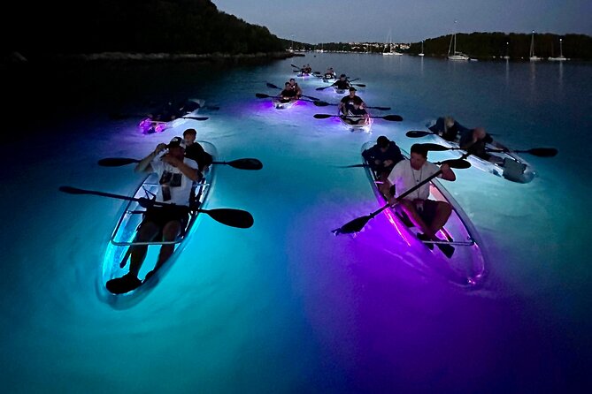 Clear Kayak Glow Night Tour - Price and what $60.34 really buys you