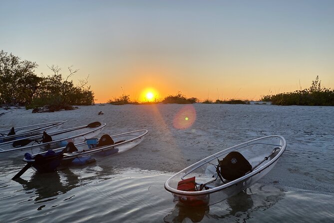 Clear Kayak Guided Eco Tour in North Naples - Quick highlights that matter on the water
