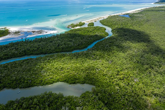 Clear Kayak Guided Eco Tour in North Naples - The 2.5-Hour Paddle Plan: Mangroves, Wildlife Scanning, and Beach Shelling