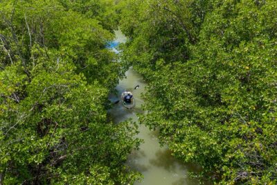 Clear Kayak Guided Eco Tour in North Naples - Getting To Cocohatchee River Marina Without the Headache