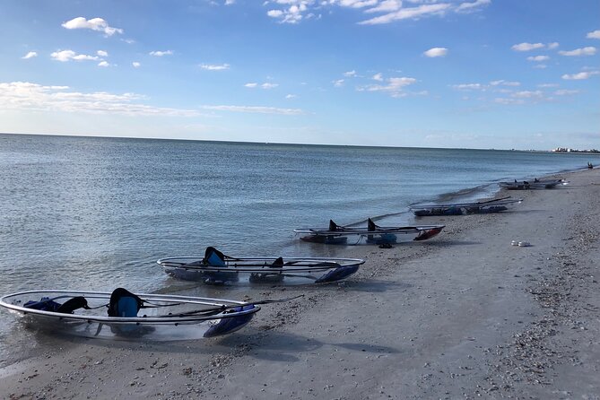 Clear Kayak Guided Eco Tour in North Naples - Safety and Fit: Tandem Kayaks, Weight Limits, and Life Jackets
