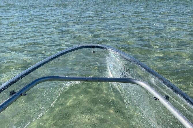 Clear Kayak Guided Eco Tour in North Naples - Price and Value: Is $84 a Fair Deal?