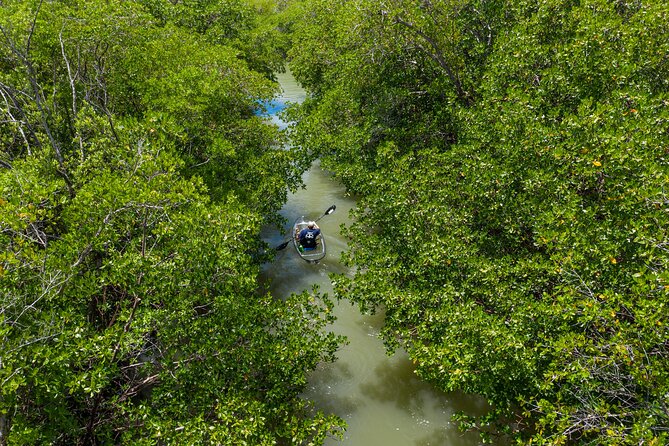 Clear Kayak Guided Eco Tour in North Naples - Getting To Cocohatchee River Marina Without the Headache