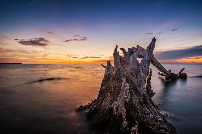 Clear Kayak Guided Kayak Tours in Titusville - Cocoa Beach to Mims: where the trip really happens