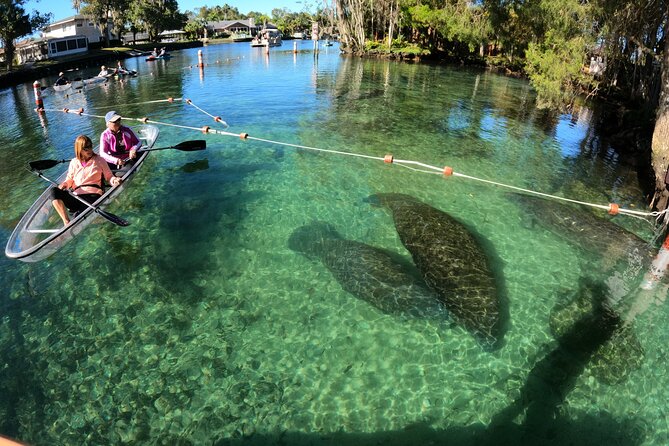 Clear Kayak Manatee Ecotour of Crystal River - Entering Crystal River Manatee Country From Day One