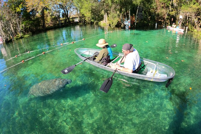 Clear Kayak Manatee Ecotour of Crystal River - The 2-Hour Plan: From Gear Pick-Up to Wildlife Search