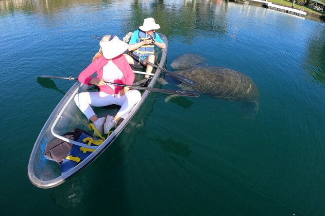 Clear Kayak Manatee Ecotour of Crystal River - Stop 1: The Crystal River Paddle Zone (and Why Route Can Feel Different)