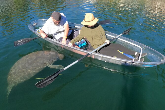 Clear Kayak Manatee Ecotour of Crystal River - Guides Who Actually Find Wildlife: Names That Came Up Often