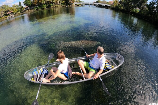 Clear Kayak Manatee Ecotour of Crystal River - Your Clear Kayaks: Tandem Stability, Fit, and How Much You’ll Get Wet