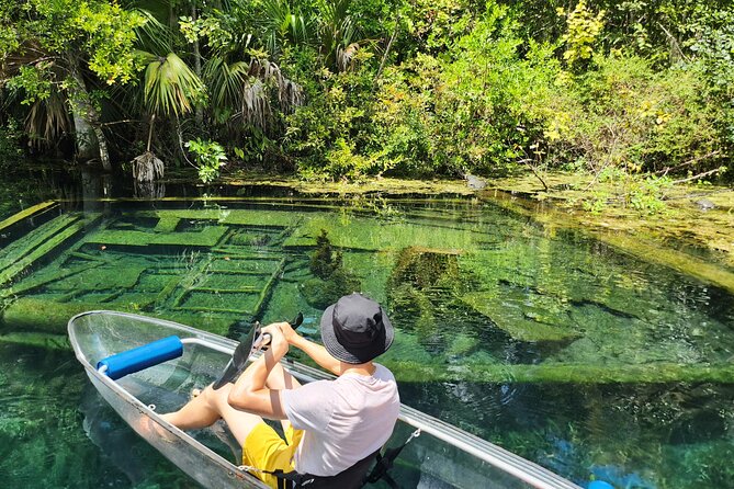 Clear Kayak or Paddleboard Manatee Adventure - Clear kayak vs paddleboard: which one suits you