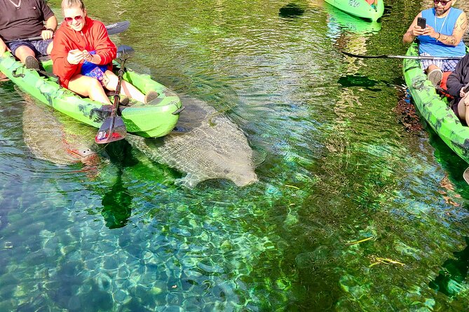 Clear Kayak or Paddleboard Manatee Adventure - What to bring and what to wear in Silver Springs heat
