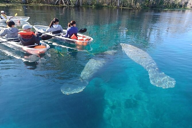 Clear Kayak or Paddleboard Manatee Adventure - Fort King paddle trail: how the route works and what to expect