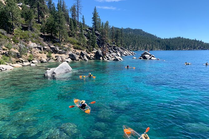 Clear Kayak Paddle Tour - Tandem vs Single Kayaks: How Capacity Can Affect Your Ride