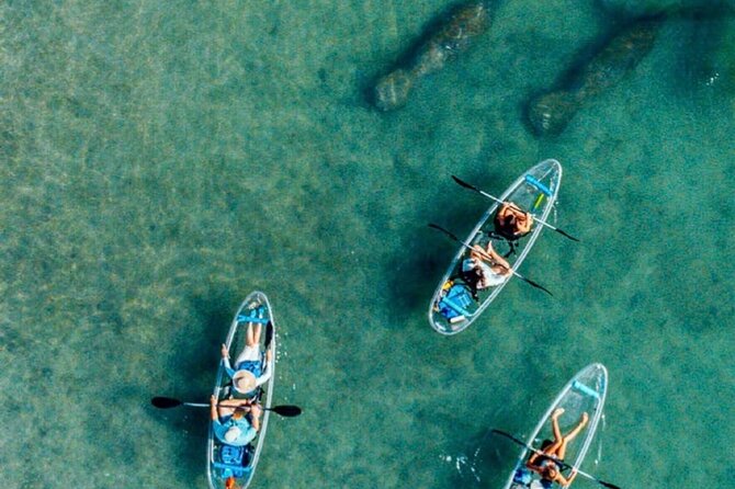 Clear Kayak Peanut Island Guided Tour Palm Beach Singer Island - Under the Blue Heron Bridge: Where the Tour Starts