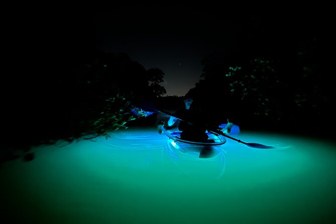 CLEAR Kayak Sunset & Light Tour - Bonita Springs / Ft Myers Beach - Glow-Return With Colorful LED Lights on the Kayaks