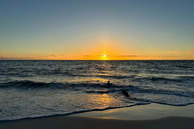 CLEAR Kayak Sunset & Light Tour - Bonita Springs / Ft Myers Beach - Group Size, Timing, and Physical Fitness: Practical Fit for Real People