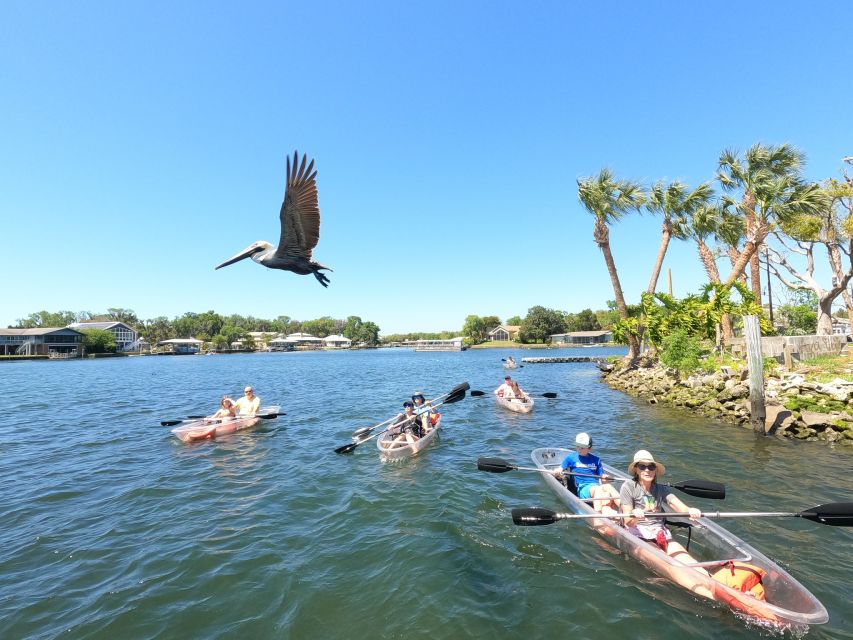 Clear Kayak Three Sisters Springs Ecotour of Crystal River - Pete’s Pier Marina to the Launch Pad: The 2-Hour Flow