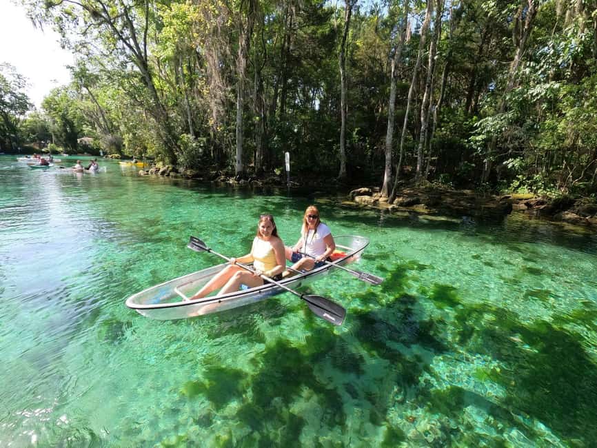 Clear Kayak Three Sisters Springs Ecotour of Crystal River - On-Water Pacing: How You Actually See Manatees