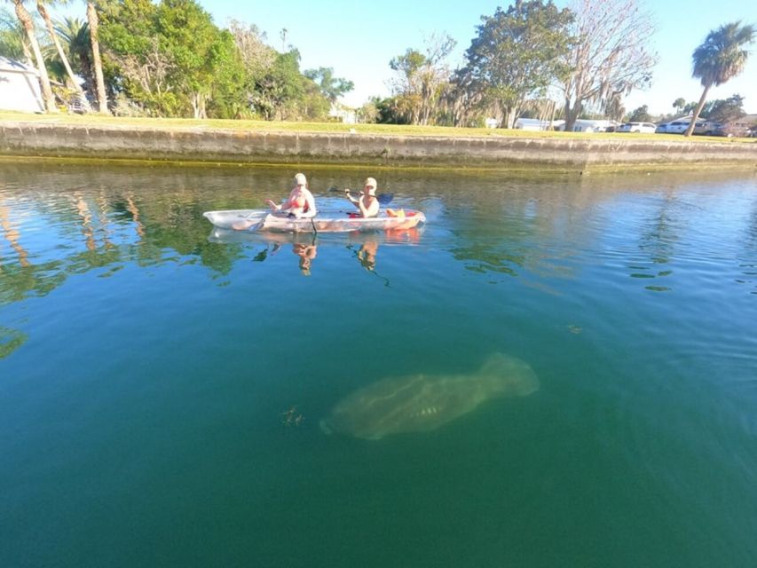 Clear Kayak Three Sisters Springs Ecotour of Crystal River - Logistics That Affect Your Day (More Than You Think)