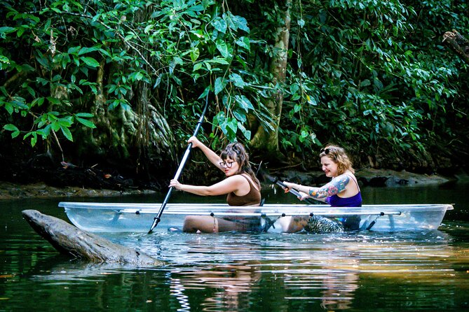 Clear Kayak Tour at Punta Uva - Punta Uva clear kayaking: why this feels different on the Caribbean side