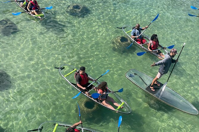 Clear Kayak Tour in Condado Lagoon - Key things to know before you go