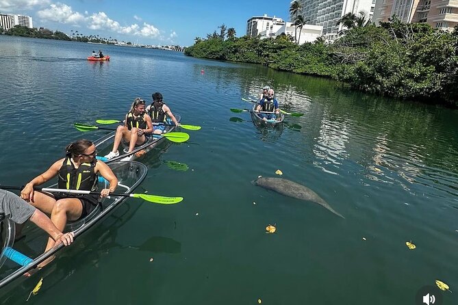 Clear Kayak Tour in Condado Lagoon - Why a morning clear kayak beats the Condado crowds