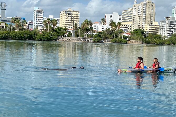 Clear Kayak Tour in Condado Lagoon - Stop 1 at Laguna del Condado: your best photo window and calm water