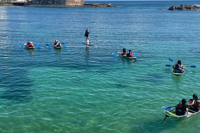 Clear Kayak Tour in Condado Lagoon - Timing, group size, and how it feels in real life