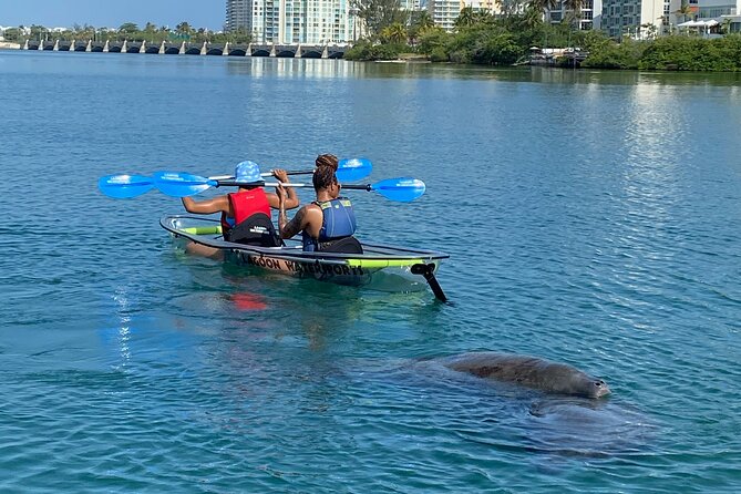 Clear Kayak Tour in Condado Lagoon - Price and value: why $59 can actually make sense