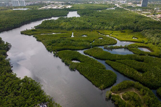 Clear Kayak Tour in North Miami Beach - Mangrove Tunnels - Weather, Tide, and Why Your Timing Matters