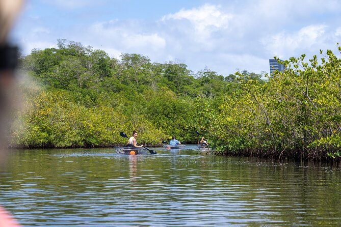 Clear Kayak Tour in North Miami Beach - Mangrove Tunnels - Who Should Book (and Who Should Skip)