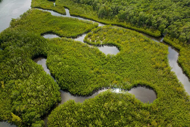 Clear Kayak Tour in North Miami Beach - Mangrove Tunnels - The 2.5 Hours: From East Greynolds Park Into the Mangrove Tunnels