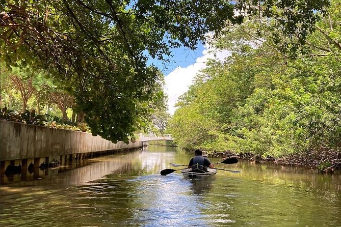 Clear Kayak Tour in South Miami Beach and Biscayne Bay - Clear bottom kayaks: why they’re worth your $73