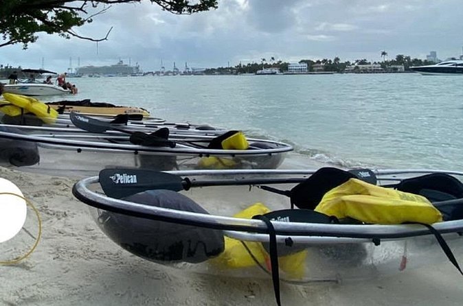 Clear Kayak Tour in South Miami Beach and Biscayne Bay - Key Biscayne and Biscayne Bay: habitats you can learn by watching