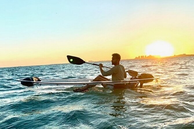 Clear Kayak Tour in South Miami Beach and Biscayne Bay - Jojo and the guide role: fun + safety + facts