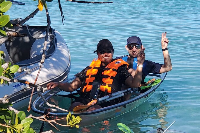 Clear Kayak Tour in Turks & Caicos Islands - Logistics That Matter: Pickup, Drop-Off, and Weather