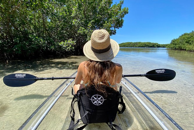 Clear Kayak Tour of Shell Key Preserve and Tampa Bay Area - Key things to know before you go