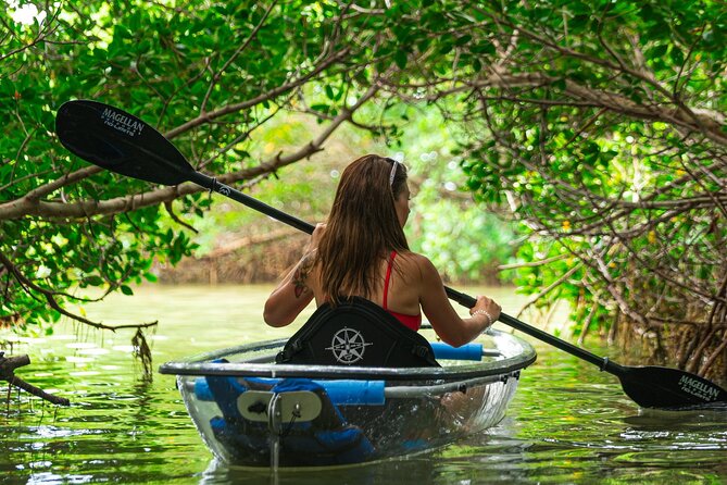 Clear Kayak Tour of Shell Key Preserve and Tampa Bay Area - Starting in Tierra Verde: Finding Billy’s Stone Crab