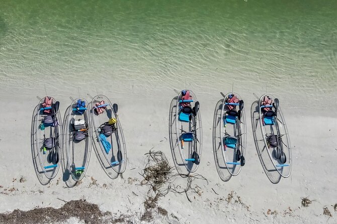Clear Kayak Tour of Shell Key Preserve and Tampa Bay Area - Wildlife chances: what you should watch for (and what you shouldn’t stress)