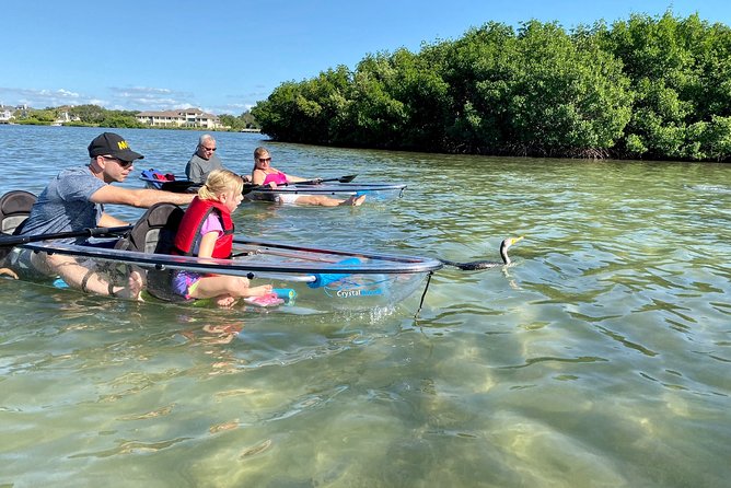 Clear Kayak Tour of Shell Key Preserve and Tampa Bay Area - Price and value: is $79 a fair deal for 2 hours?