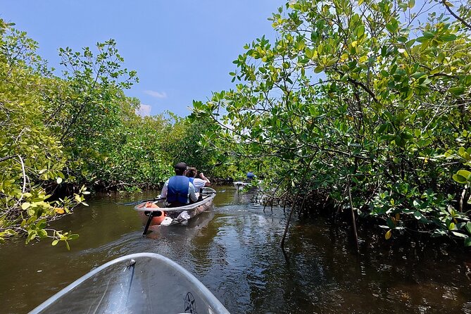 Clear Kayak Tour of Tarpon Springs Sponge Docks & Mangroves - Key Things To Know Before You Go