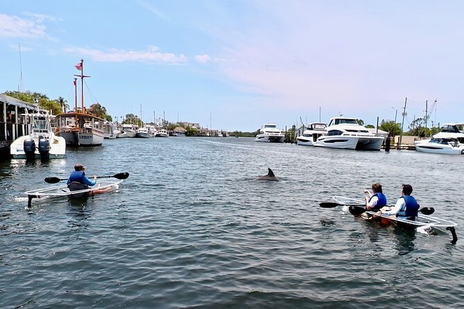 Clear Kayak Tour of Tarpon Springs Sponge Docks & Mangroves - Why a Clear Kayak on the Anclote River Feels So Different