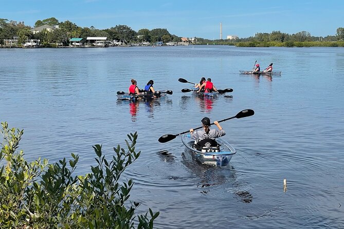 Clear Kayak Tour of Tarpon Springs Sponge Docks & Mangroves - What You Get for $69: Value That Makes Sense