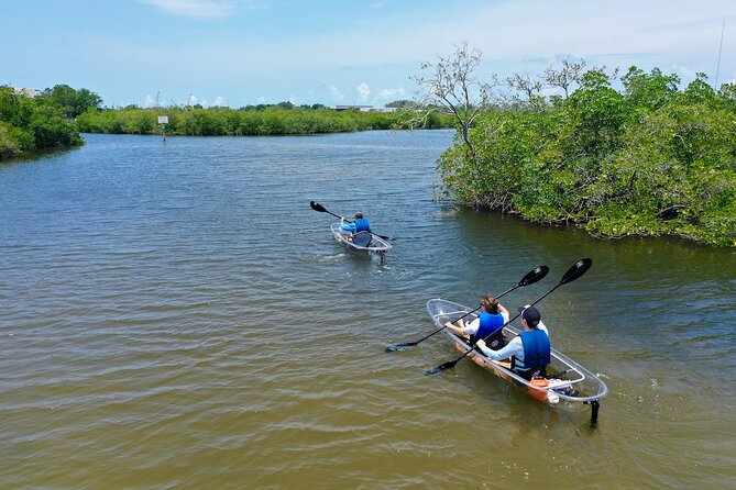 Clear Kayak Tour of Tarpon Springs Sponge Docks & Mangroves - Weather and Water Conditions: Why You Should Check Before You Go