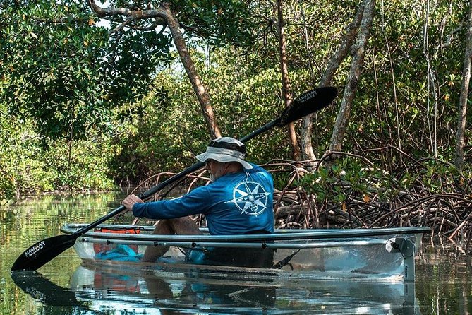 Clear Kayak Tours in Fort Pierce - Key Things That Make This Clear Kayak Tour Special