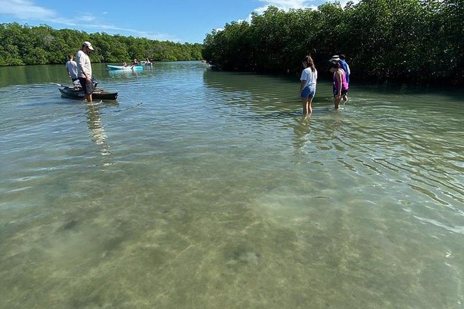 Clear Kayak Tours in Fort Pierce - Mangrove Tunnels of Fort Pierce Inlet State Park, Seen From a Clear Kayak
