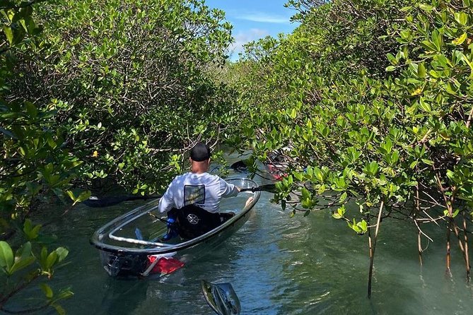 Clear Kayak Tours in Fort Pierce - Gear, Safety, and Comfort in a Transparent Kayak Setup
