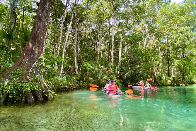 Clear Kayak Tours in Weeki Wachee - Entering the trip at 8092 Marys Fish Camp Rd