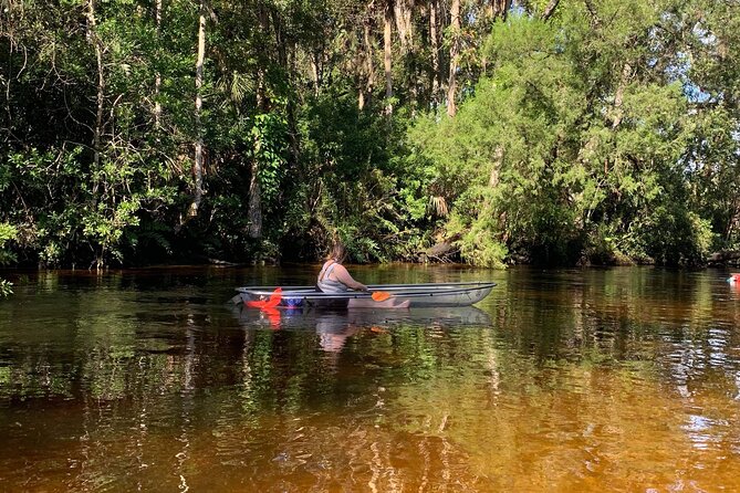 Clear Kayak Tours in Weeki Wachee - Wildlife watching that’s exciting even when sightings vary